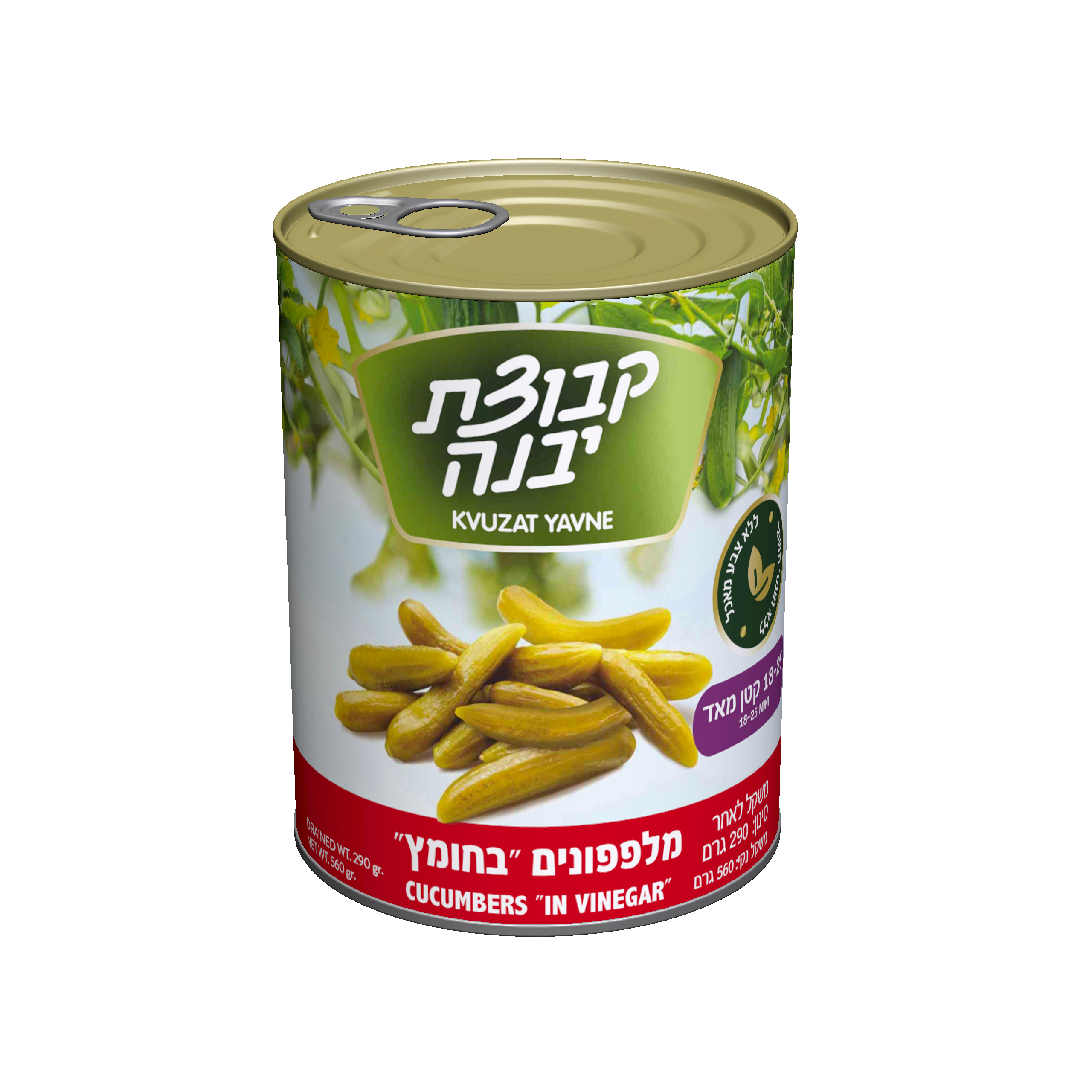 מלפפון בחומץ 18-25