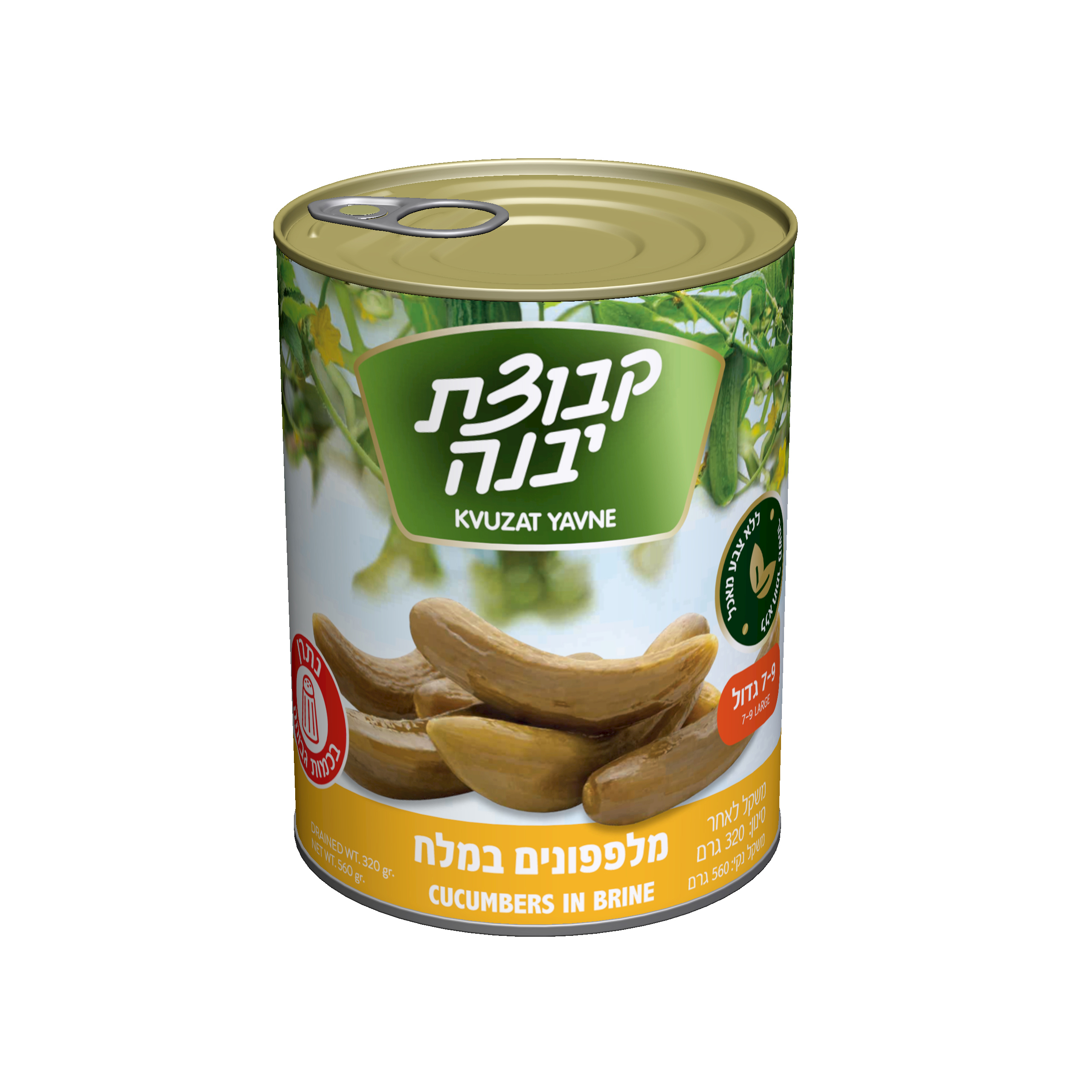 מלפפון במלח 7-9 יבנה