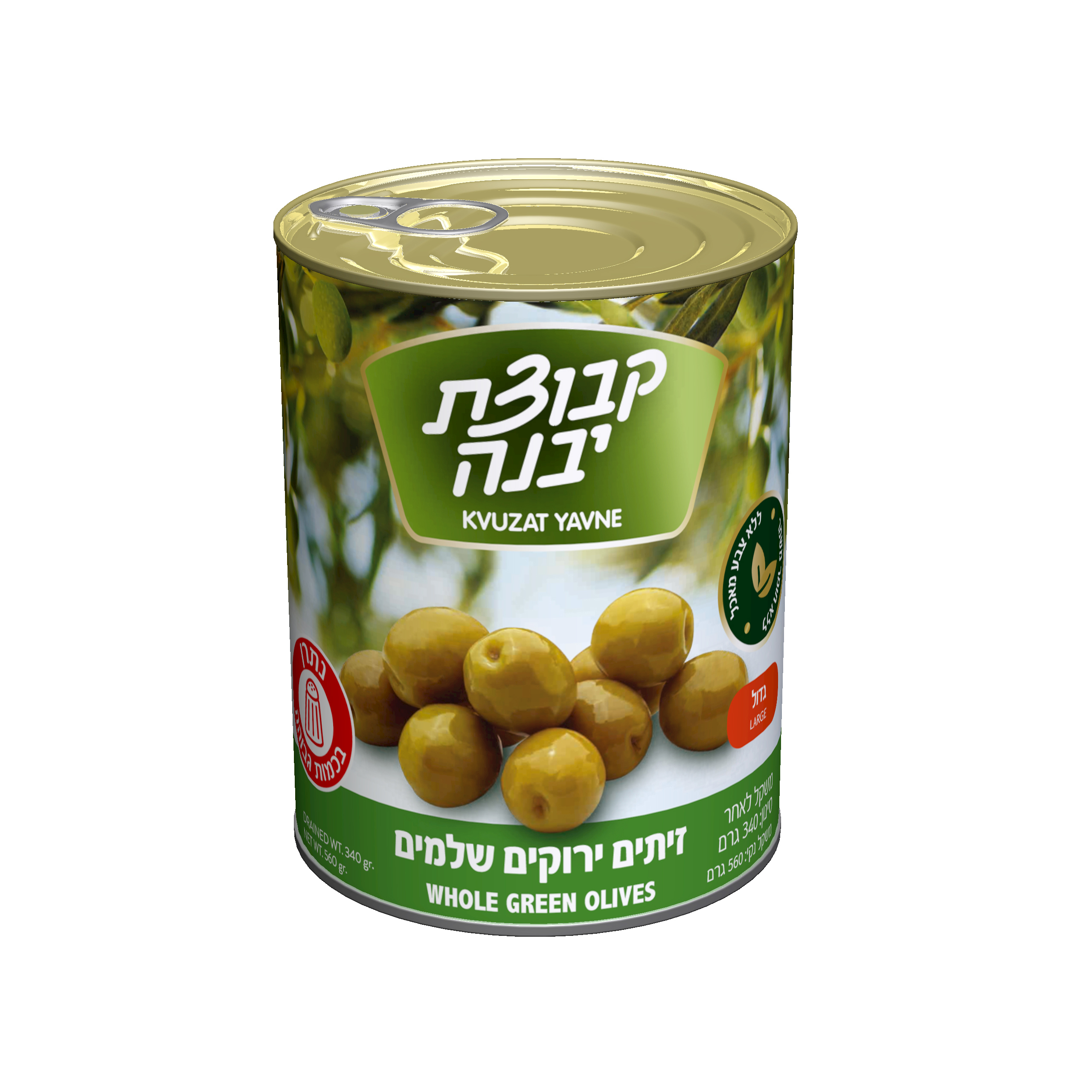 מנזולינו גדול A2