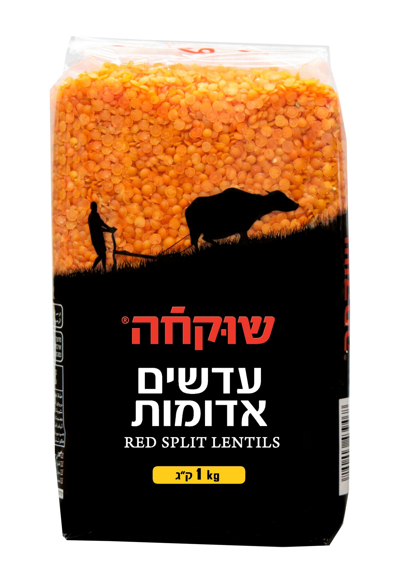 עדשים אדומות