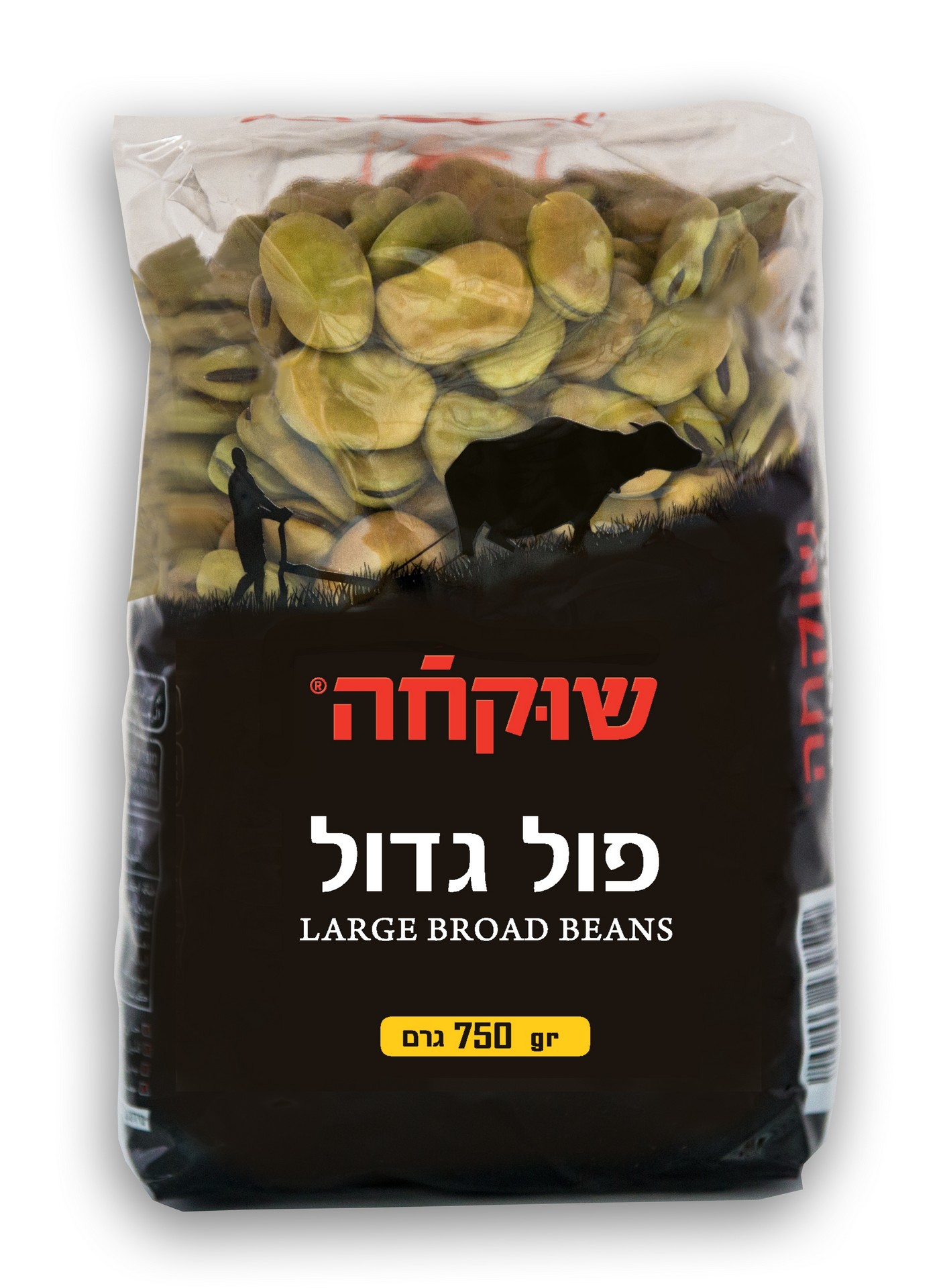 פול גדול שוקחה